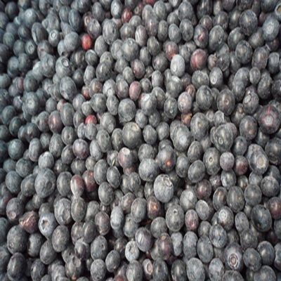 速冻种植蓝莓A级 蓝莓;冷冻蓝莓;速冻水果;速冻蓝莓;保鲜水果;进口蓝莓;种植蓝莓;蓝莓冻果;蓝莓系列产品;蔓越莓干;速冻蔬菜; 青岛七彩大地农产品有限公司