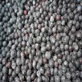 速冻种植蓝莓A级 蓝莓;冷冻蓝莓;速冻水果;速冻蓝莓;保鲜水果;进口蓝莓;种植蓝莓;蓝莓冻果;蓝莓系列产品;蔓越莓干;速冻蔬菜; 青岛七彩大地农产品有限公司